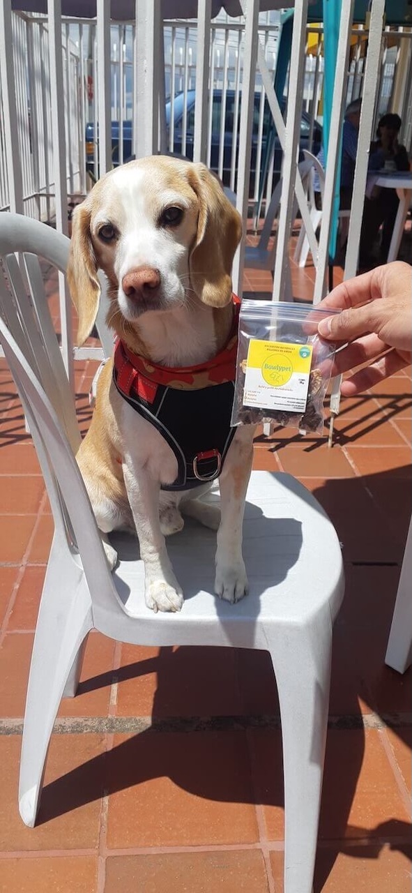 Cliente 2